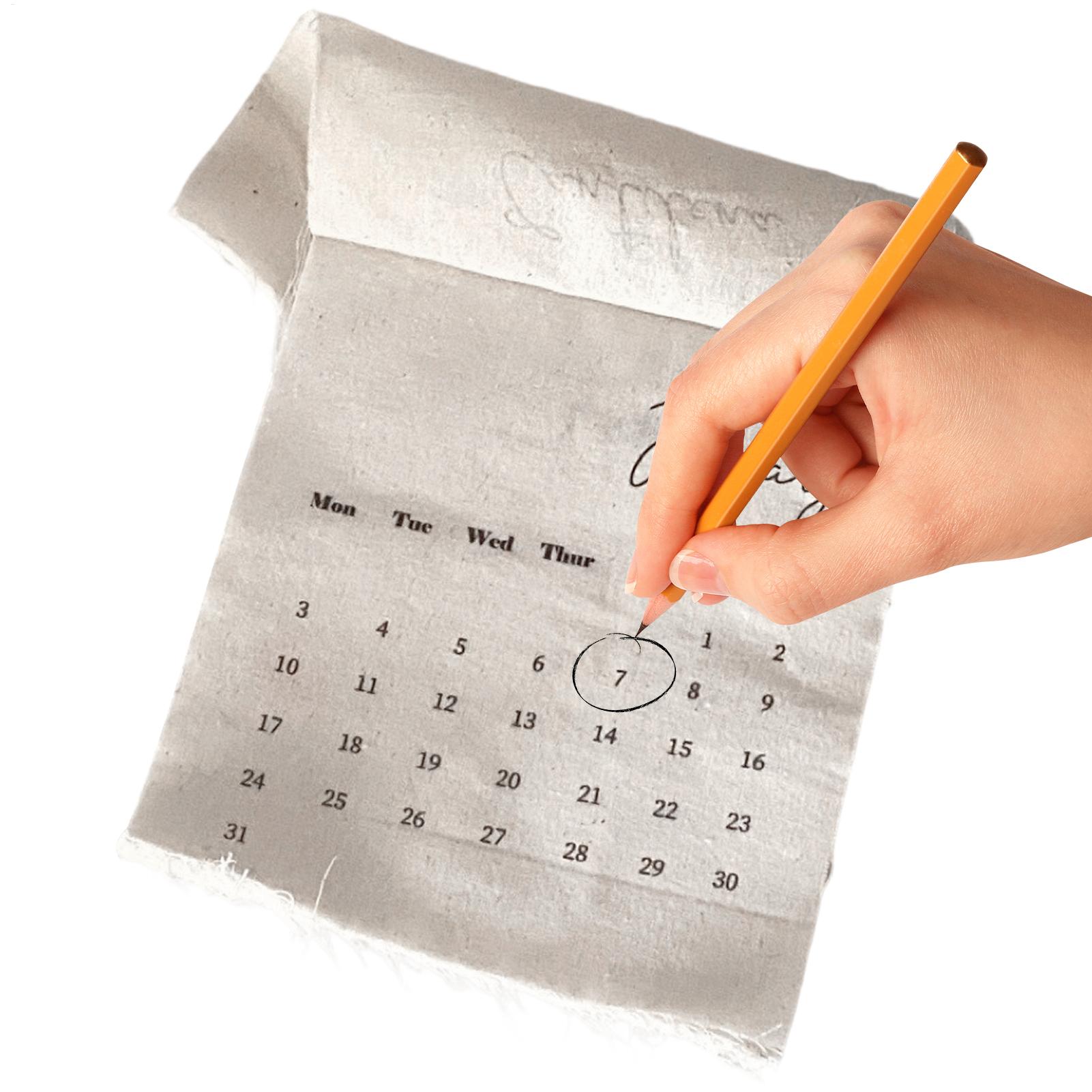 2026 Fabric Wall Calendar 12-M - Home Textiles And Decor review and price